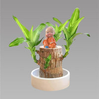 Brazilian Lucky Wood, Mini Home Plant Decorations